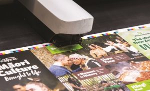 offset printing set up