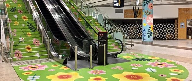 FloorShark Customer Experience