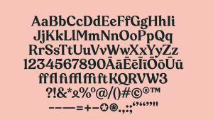 A font for Christchurch study