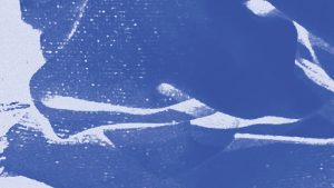 November Contest Winner