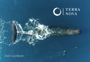 environmental calendar